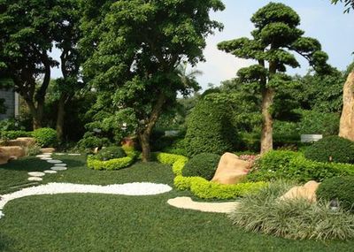 山東綠化苗木價(jià)格_想要品質(zhì)好的山東綠化苗木價(jià)格就來(lái)眾邦園林