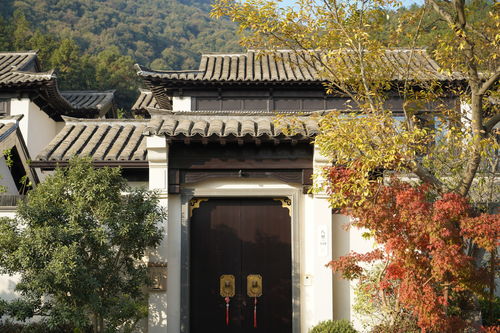 熱烈祝賀我司六個項(xiàng)目榮獲2019年度杭州市 優(yōu)秀園林綠化工程 金獎