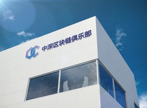 中深區(qū)塊鏈俱樂部天津軟件開發(fā) 構(gòu)建創(chuàng)新與應(yīng)用并重的技術(shù)生態(tài)