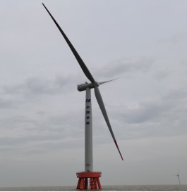 抗擊臺風的“白色戰士”，電氣風電打造！